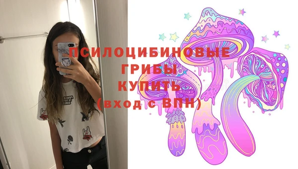 Альфа ПВП Алексин