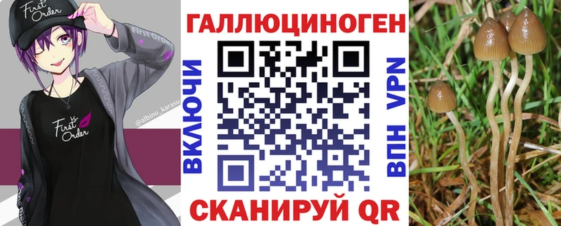 где купить наркоту  Топки  Псилоцибиновые грибы Cubensis 