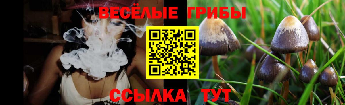 Галлюциногенные грибы Psilocybine cubensis Топки